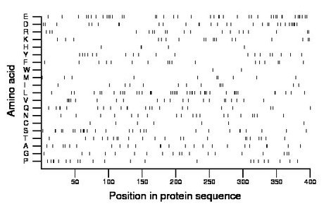 amino acid map