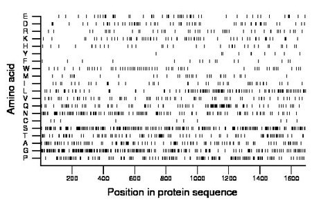 amino acid map