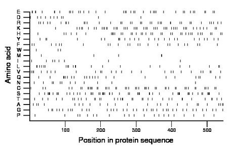 amino acid map