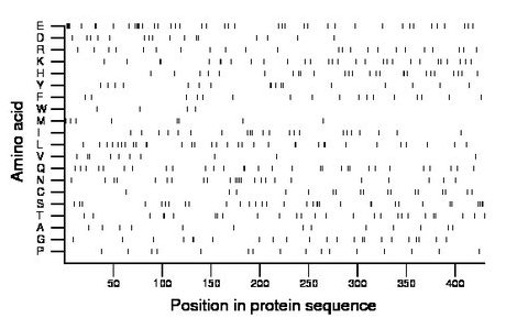 amino acid map