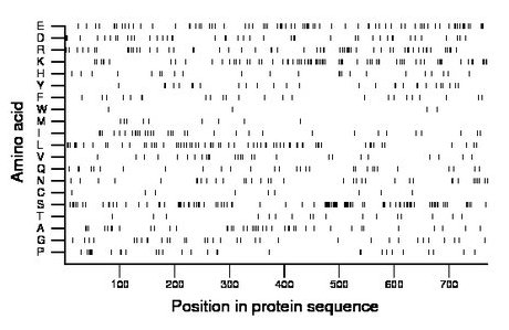 amino acid map