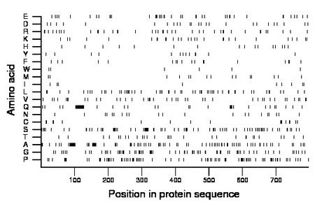 amino acid map