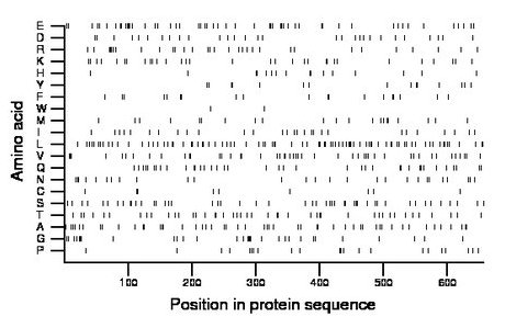 amino acid map