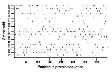 amino acid map