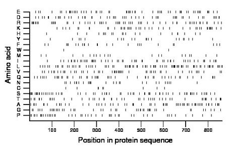 amino acid map