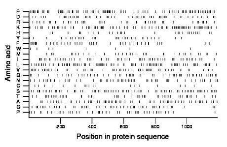 amino acid map