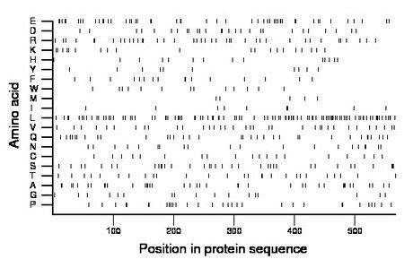 amino acid map