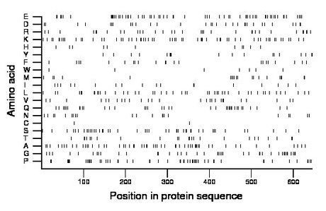 amino acid map