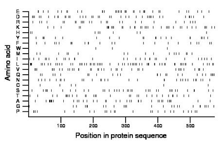 amino acid map