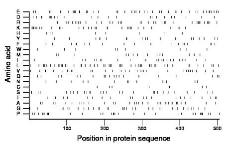 amino acid map