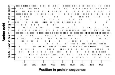 amino acid map