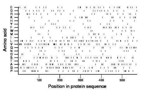 amino acid map