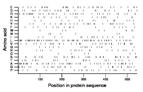 amino acid map