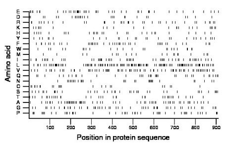 amino acid map