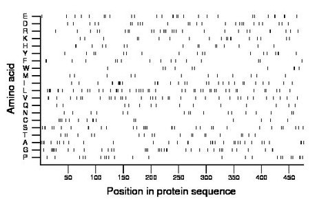 amino acid map