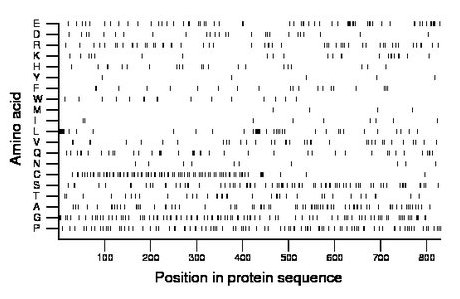 amino acid map