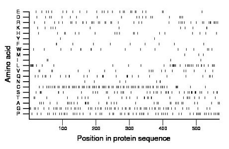 amino acid map