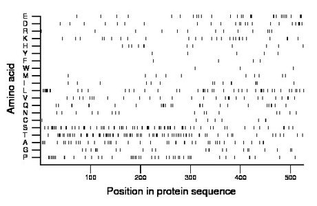 amino acid map