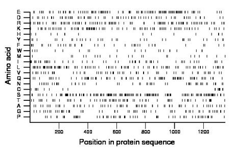 amino acid map