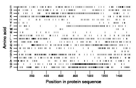 amino acid map