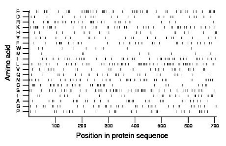 amino acid map