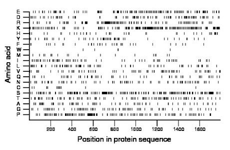 amino acid map