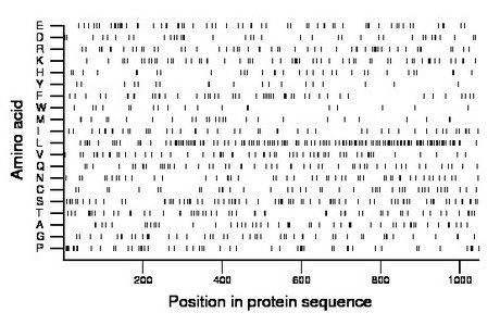 amino acid map