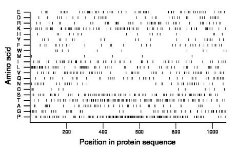 amino acid map