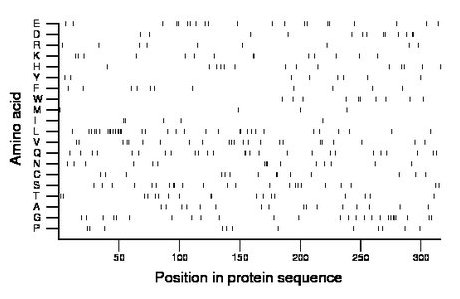 amino acid map