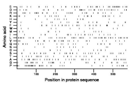 amino acid map