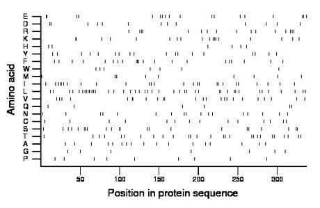 amino acid map