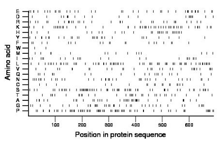 amino acid map