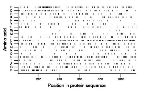 amino acid map