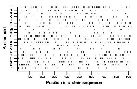 amino acid map