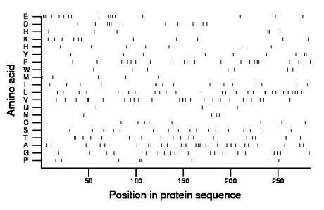 amino acid map