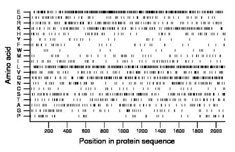 amino acid map