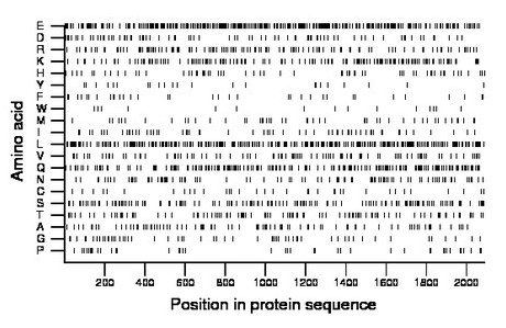 amino acid map