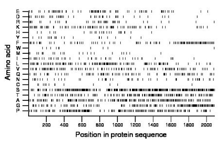 amino acid map