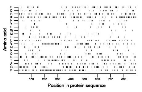 amino acid map