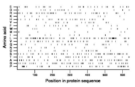 amino acid map