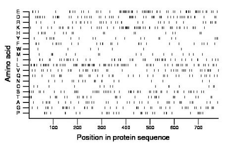 amino acid map