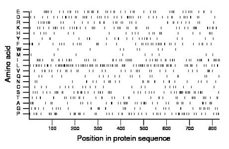 amino acid map