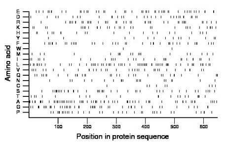 amino acid map