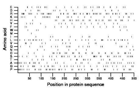 amino acid map