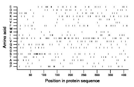 amino acid map