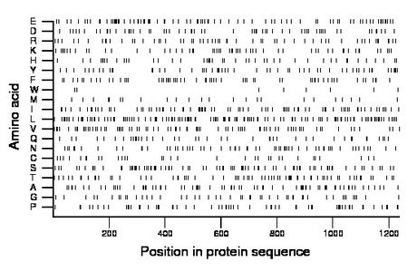 amino acid map