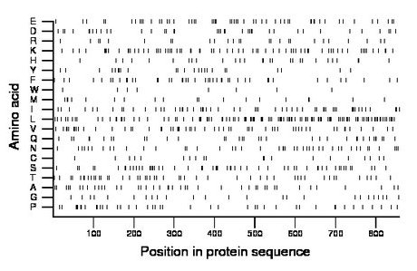 amino acid map