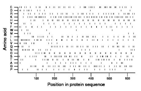 amino acid map