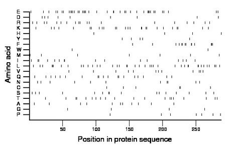 amino acid map