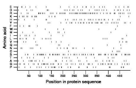 amino acid map